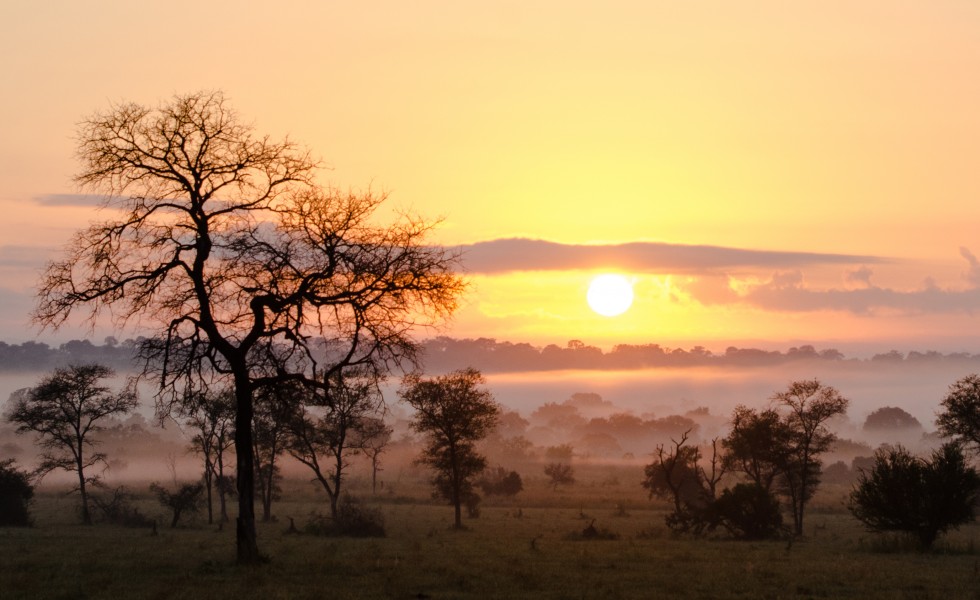 site de rencontre en afrique du sud